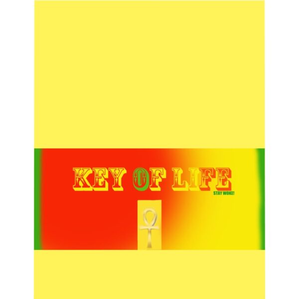ANKH  KEY OF LIFE  Microfiber Duvet Cover - Image 3