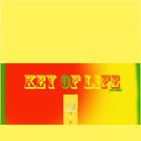 ANKH  KEY OF LIFE  Microfiber Duvet Cover - Image 2